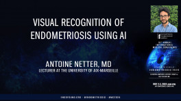 Visual recognition of endometriosis using AI - Antoine Netter, MD